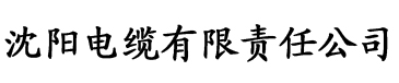 大菠萝网站在线观看电缆厂logo